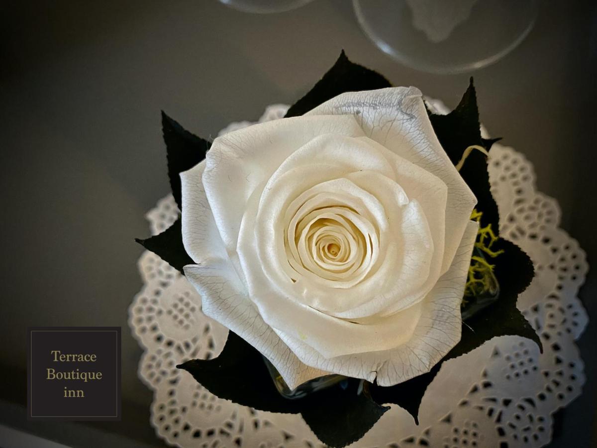 Terrace Boutique Inn ローマ エクステリア 写真